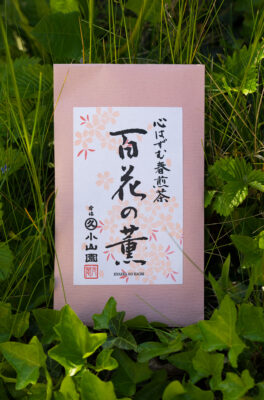 Marukyu Koyamaen Spring Sencha Hyakka no Kaori