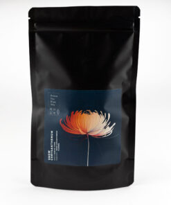 Schnee Chrysanthemen Tee