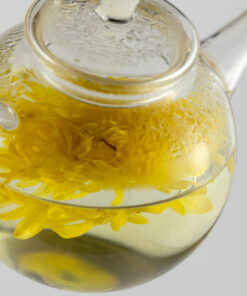 Jinsi Huangju Tee Chrysantheme