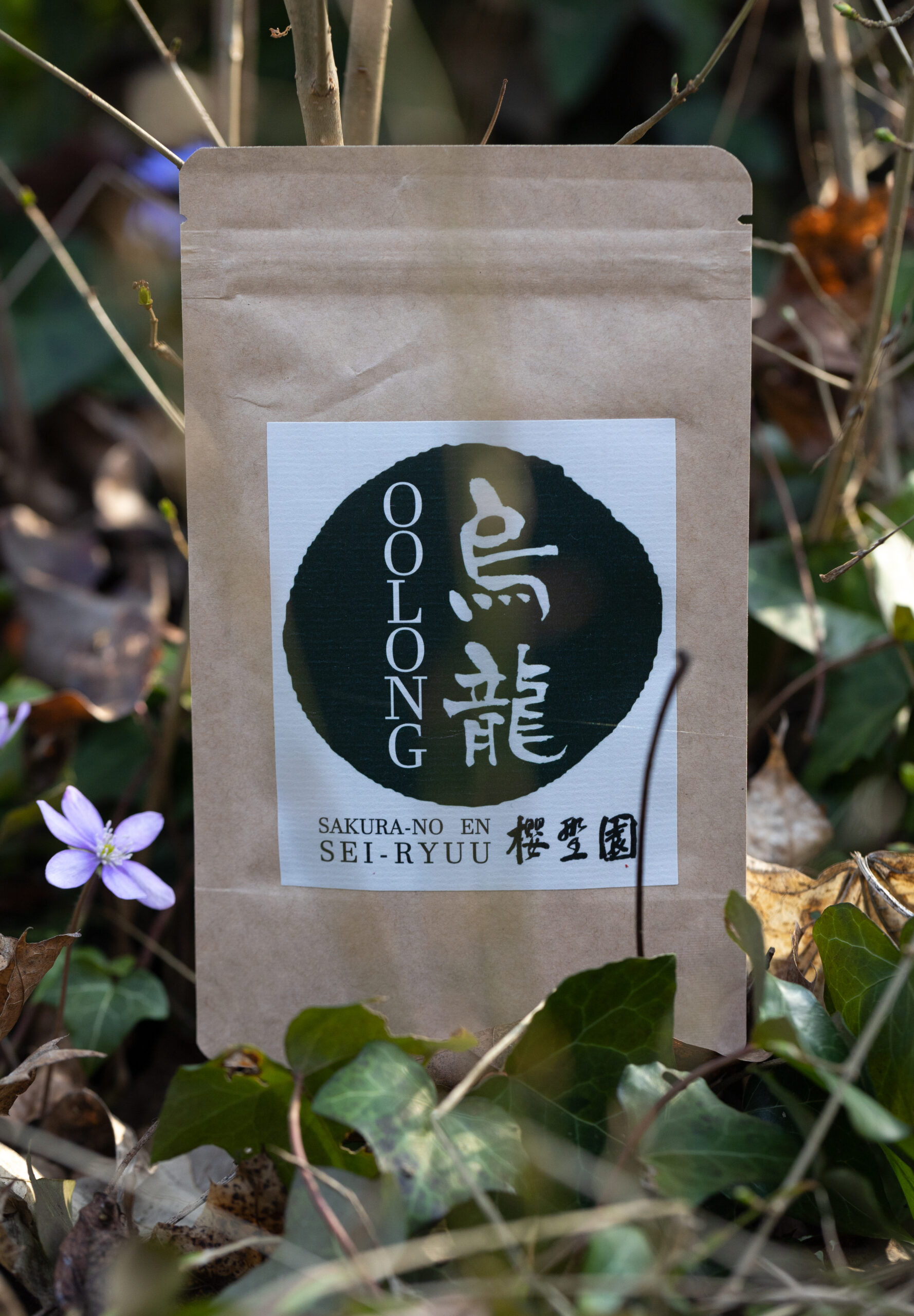 Sakura_Oolong_4B3A2232