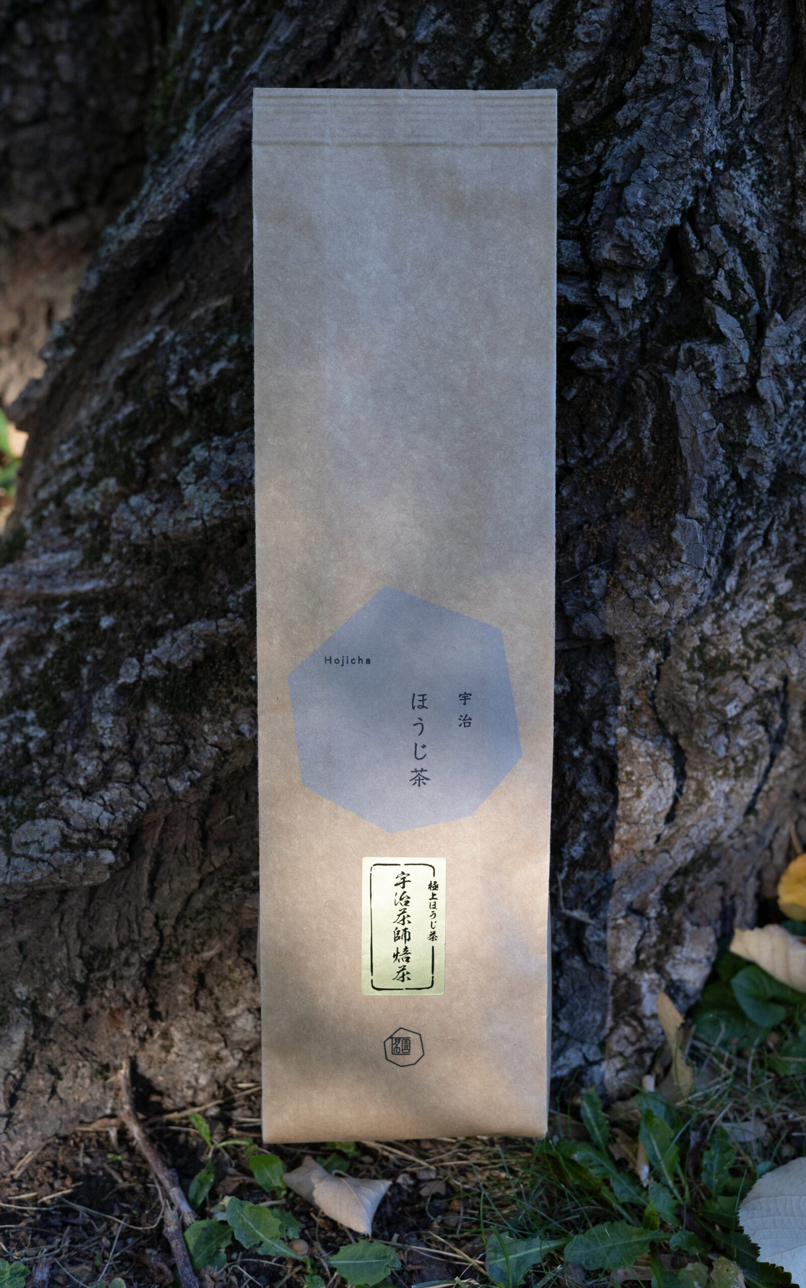 4B3A5490-horii-ujichashi